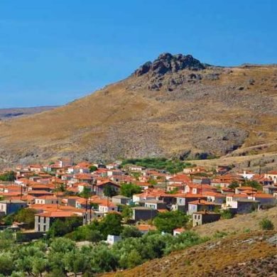gallbladderliver Chronology Ερεσός view
