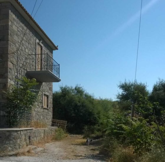 gallbladderliver Chronology οικία Ερεσός