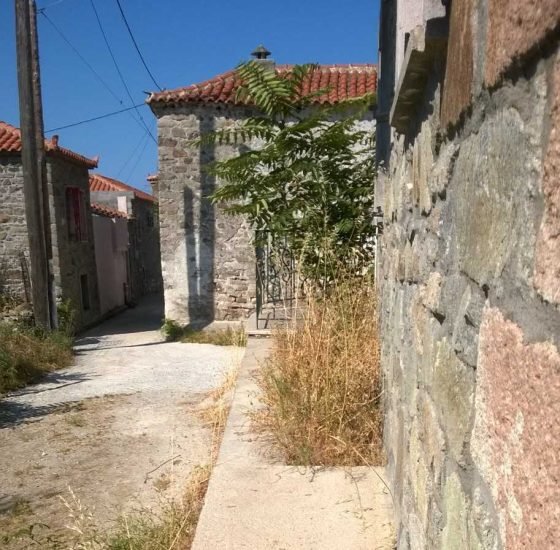 gallbladderliver Chronology οικία3