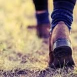 gallbladderliver Why Us … to walking